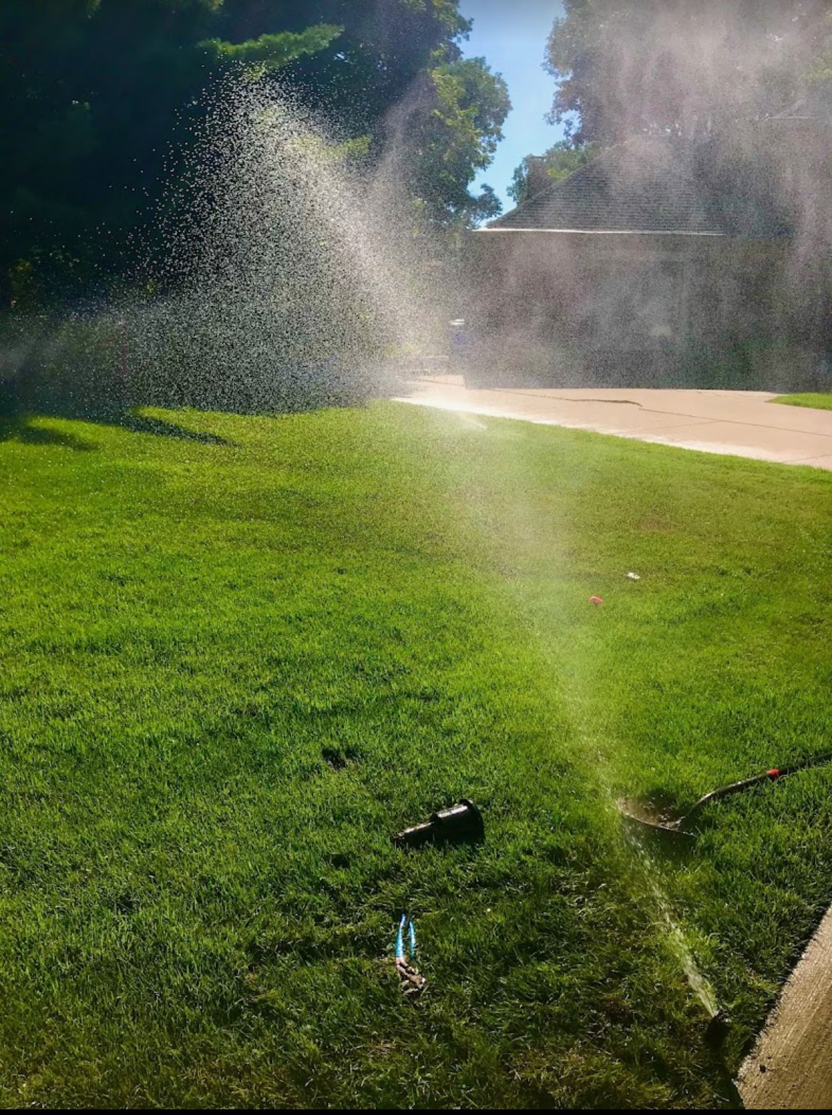 Sprinkler arc watering a lush green Michigan lawn — Elite Sprinkler Systems irrigation repair.